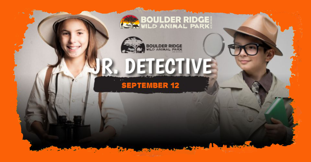 jr-detective-day-1