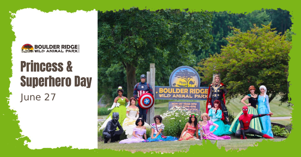 princess-and-superhero-day-1