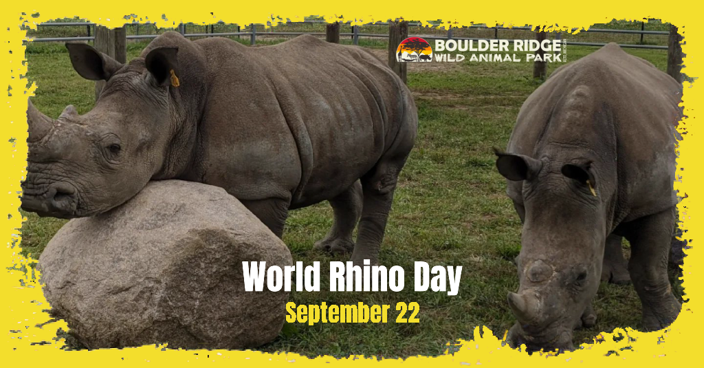 world-rhino-day-1